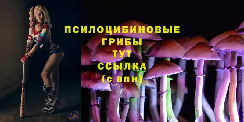 Галлюциногенные грибы Magic Shrooms  продажа наркотиков  hydra ссылка  Саров 